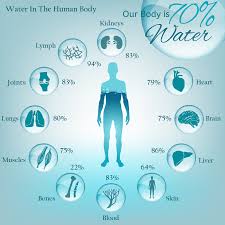 Water - Nature's liquid gold! • Warrior Woman Fitness